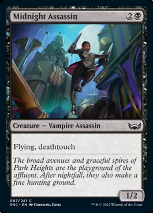 Midnight Assassin