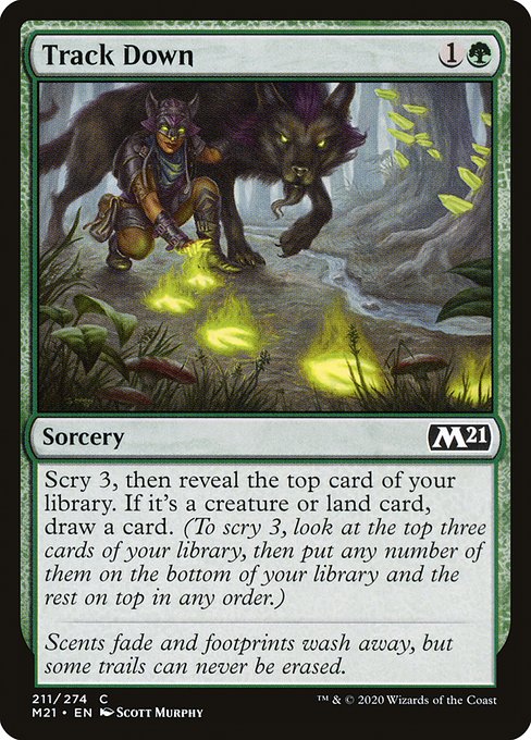 Track Down [Foil]