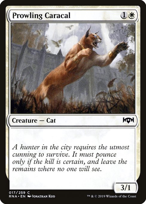 Prowling Caracal [Foil]