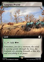 Sungrass Prairie [Extended Artwork]