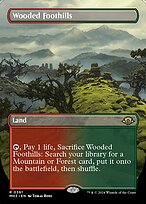 Wooded Foothills [Borderless]