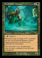 Evolution Witness [Retro Frame]