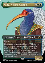 Nadu, Winged Wisdom [Borderless]