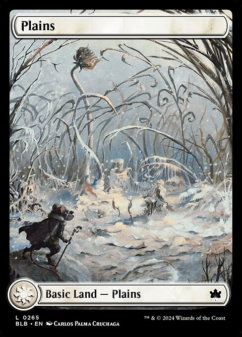 Plains [Winter]
