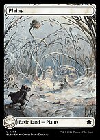 Plains [Winter]