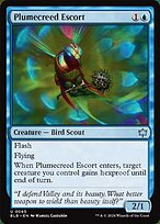 Plumecreed Escort
