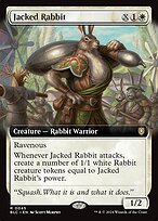 Jacked Rabbit [Extended Artwork]
