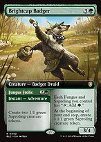 Brightcap Badger // Fungus Frolic [Extended Artwork]