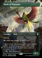 Birds of Paradise [Borderless]