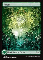 Forest [Borderless]