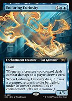 Enduring Curiosity [Extended Artwork]