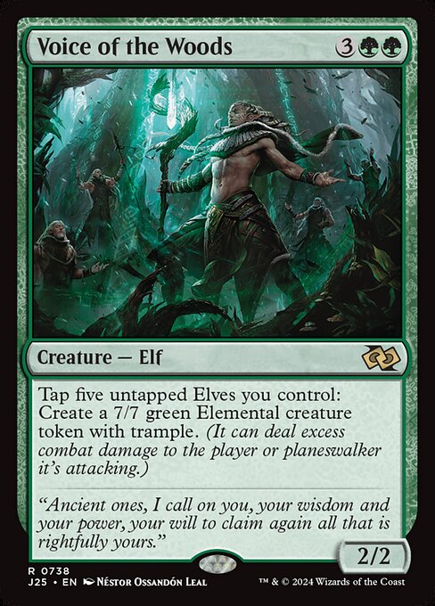 Voice of the Woods