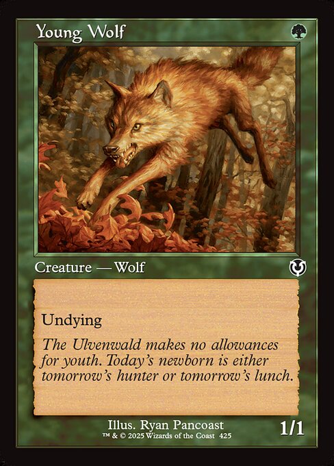 Young Wolf [Retro Frame]