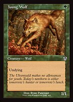Young Wolf [Retro Frame]
