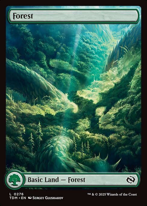 Forest [Full Art Foil]