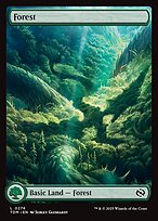 Forest [Full Art Foil]