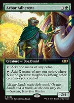 Arbor Adherent [Extended Artwork]