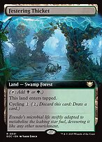 Festering Thicket [Extended Artwork]