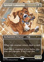 Spirited Companion
