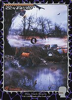 Swamp