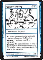 Catch of the Day [Playtest]