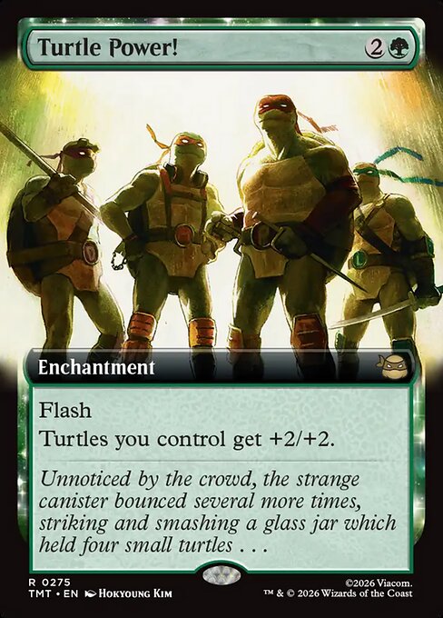 Turtle Power! [Extended Artwork]