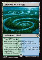 Turbulent Wilderness