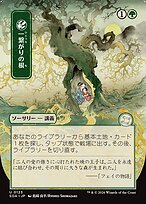 Shared Roots [Japanese Showcase]