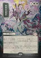 Awaken the Woods [Japanese Silver Foil]