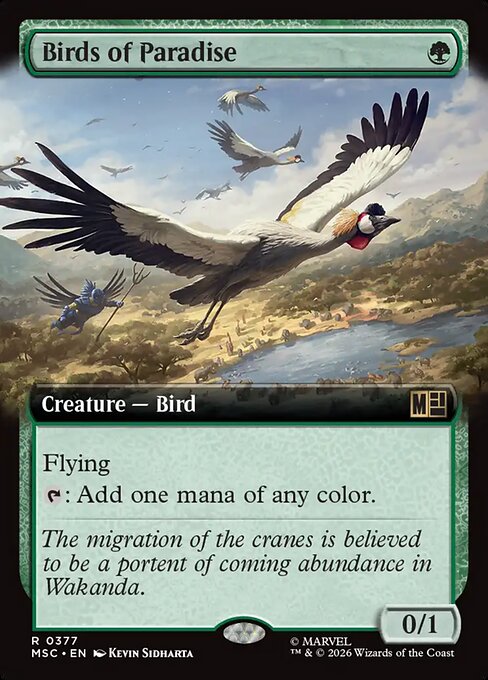 Birds of Paradise [Extended Artwork]