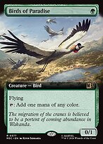 Birds of Paradise [Extended Artwork]