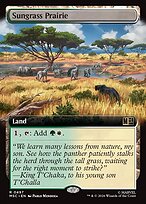 Sungrass Prairie [Extended Artwork]