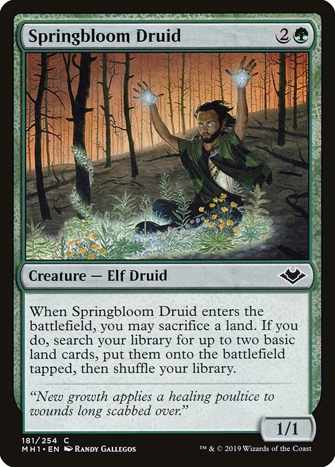 Springbloom Druid [Foil]