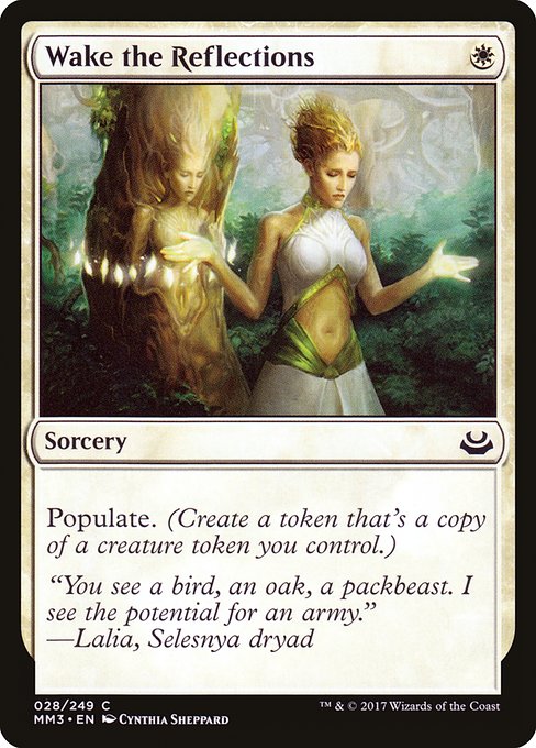 Wake the Reflections [Foil]