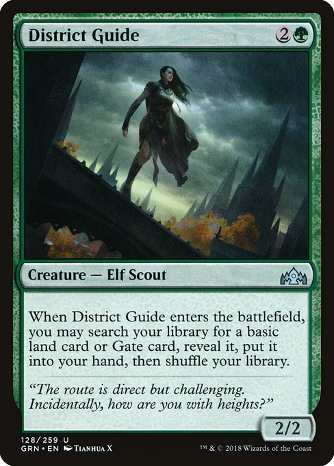 District Guide [Foil]