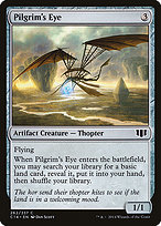 Pilgrim's Eye