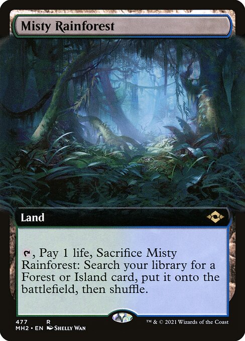 Misty Rainforest [Extended Artwork]