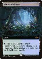 Misty Rainforest [Extended Artwork]