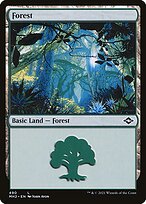Forest [Bundle]