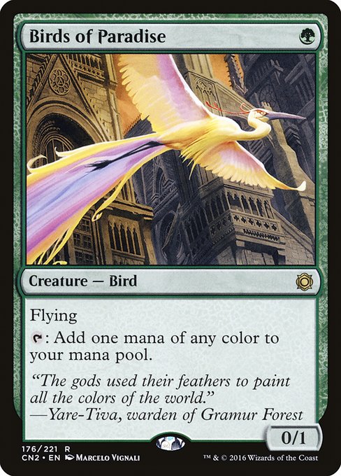 Birds of Paradise [Foil]