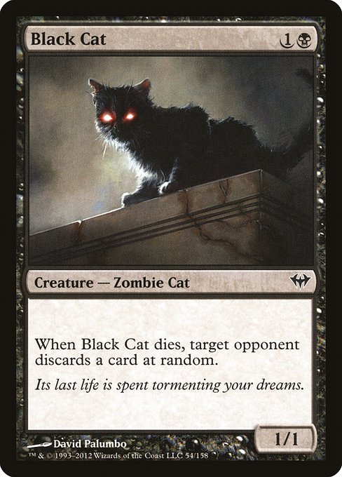 Black Cat [Foil]