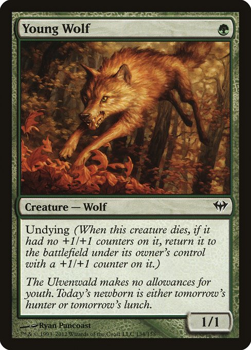 Young Wolf [Foil]