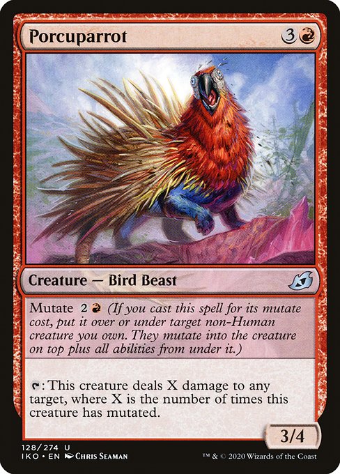 Porcuparrot [Foil]