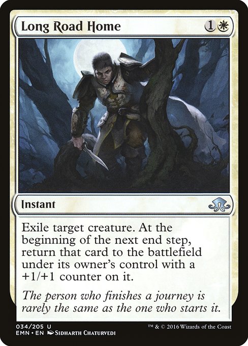 Long Road Home [Foil]