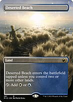 Deserted Beach [Borderless]