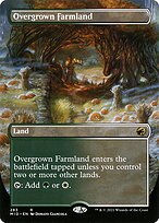 Overgrown Farmland [Borderless]
