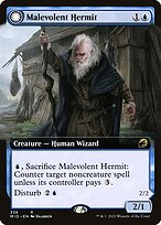 Malevolent Hermit // Benevolent Geist [Extended Artwork]