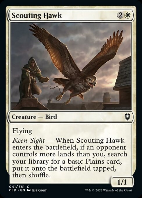 Scouting Hawk [Foil]
