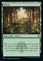 Forest
