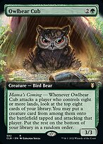 Owlbear Cub [Extended Artwork]